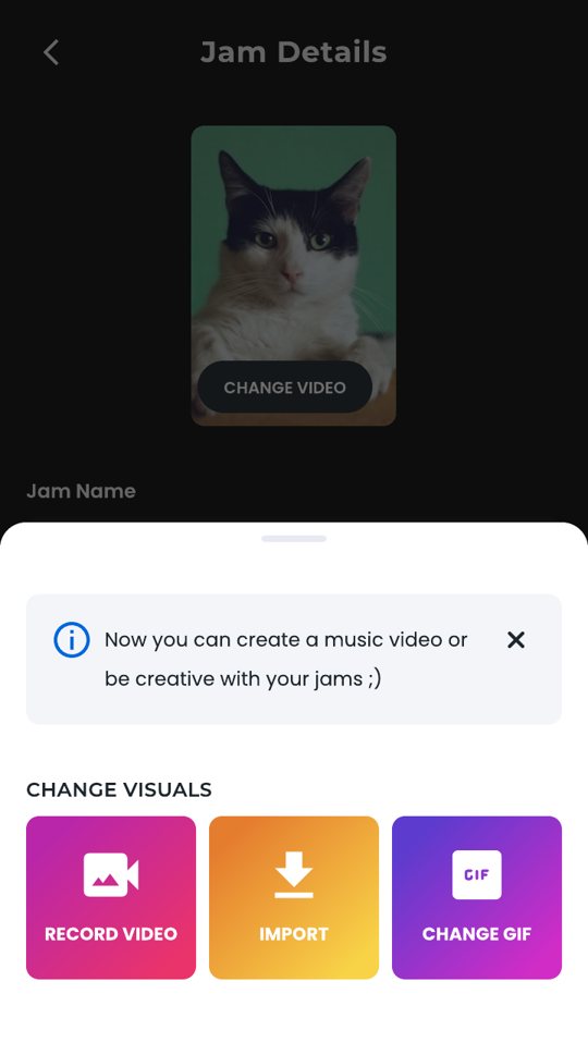 Change visuals: record a video, import one, or make a GIF